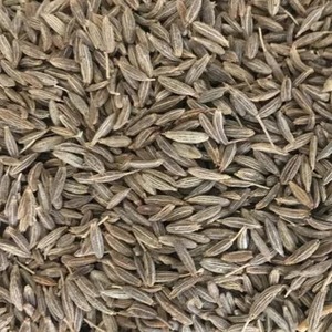 Especias de comino indio de alta calidad, estilo seco, forma redonda marrón, 12 meses de vida útil, procesamiento crudo, origen de Cassia, venta al por mayor - Product Image 4