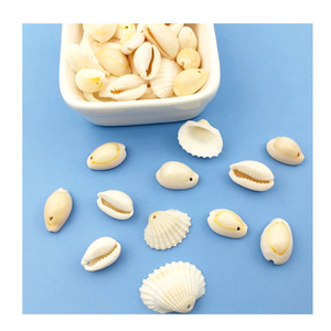 Copeaux de coquillages multicolores 2-3cm pour sous-verres faits à la main, décoration de bocaux à bougies et aimants - Product Image 4