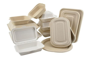 BOÎTE À BAGASSE NATURELLE 100%/ÉCOLOGIQUE ET DURABLE/RÉDUCTIONS EN VRAC/FABRIQUÉ AU VIETNAM - Product Image 2