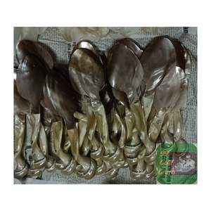 Offre Spéciale Cuillère à coquillages vietnamienne artisanale Cuillère à caviar en coquillages naturels de haute qualité - Product Image 2