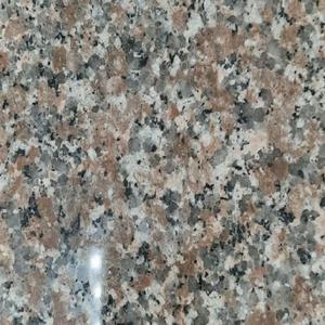 Rose Chima, Poli, Granit, Taille de coupe, 600x1200mm, Épaisseur 16 mm - Product Image 1