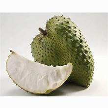 Soporte Inmunológico, Fruta de Guanábana Congelada, Envasado al Vacío a Granel, Vegano, Sin OMG, Etiqueta Limpia, Opción de Nutrición a Base de Plantas - Product Image 3