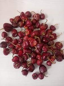 CHILE REDONDO PICANTE DE ORIGEN INDIO MARCA RGPL CON UN AÑO DE VALIDIDAD A LA VENTA por RADIANCE GLOBAL TRADERS - Product Image 2