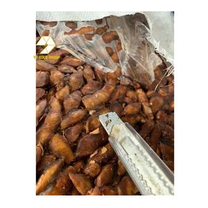 มะขามเปรี้ยวคุณภาพสูงพร้อมเมล็ด จากซัพพลายเออร์เวียดนาม สำหรับการส่งออกทั่วโลก ราคาดีที่สุด - Product Image 5