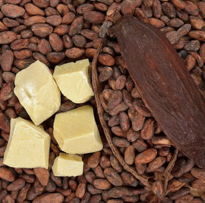 Beurre de cacao naturel de qualité alimentaire supérieure pour la fabrication de chocolat, la transformation alimentaire et les applications cosmétiques - Product Image 5