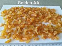Raisins dorés indiens, raisins dorés en gros, fournisseur en vrac, marque Apex, du Rajasthan