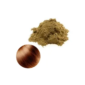 Hot bán Hữu Cơ Brown Henna Bột kit 100% tinh khiết lá-có nguồn gốc cho thực phẩm sức khỏe ứng dụng với găng tay và Applicator