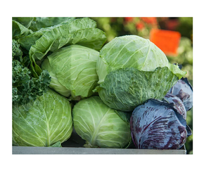 Chou vert frais de haute qualité dans les supermarchés en vrac et le prix du choix des distributeurs - Product Image 4
