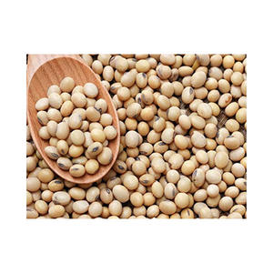 Soja Seca Fresca Orgánica de Alta Calidad Cultivada en Sudáfrica, Sin OMG, en Paquete a Granel de 25 kg, 2 Años de Vida Útil, Lista para Envío al por Mayor - Product Image 3