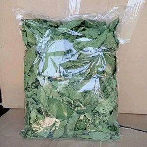 Feuilles de jute sèches du delta du Vietnam, poudre de feuilles de jute sèches, 4 oz, feuilles de molokhia de haute qualité, molokhia séchée ANGLE - Product Image 5