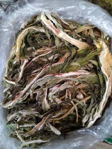 FLOR DE FRUTA DE DRAGÓN SECA NATURAL/CALIDAD PREMIUM/LISTO PARA USAR PARA INFUSIONES DE TÉ Y APLICACIONES CULINARIAS - Product Image 5