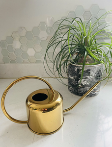 Prix de gros des outils de jardinage en acier galvanisé Arrosoir en métal gallon pour plantes d'extérieur et d'intérieur - Product Image 3