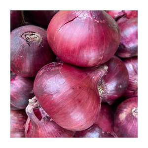 Cebollas de piel roja fresca a precio barato, tamaño de 3-5cm, cebollas rojas moradas, suministro a granel de alta calidad, precio de fábrica, la mejor oferta al por mayor - Product Image 2