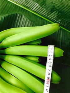 Fresh Cavendish Banana Vietnam Proveedor de exportación a granel para jugos Batidos Panadería Postres Venta al por menor Horeca Snacks saludables - Product Image 3