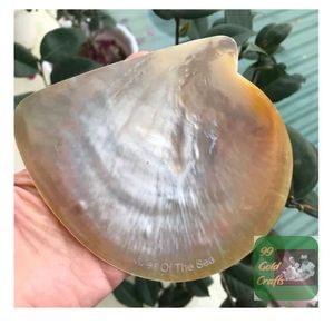 Plato de Nácar Natural Pulido, Elegante Plato para Caviar de Concha Marina, Hecho a Mano en Vietnam, Bandeja de Lujo Ecológica - Product Image 3