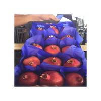 Groothandel Gecertificeerde 100% Natuurlijke Verse Granaatappels Voedselkwaliteit 2 Jaar Houdbaarheid Maten 12-20mm Klaar voor Export Brazilië Fenicia