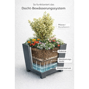 Vasi di sicurezza con irrigazione a corda - Product Image 2