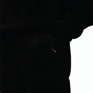 65% coton 35% polyester matériau Super doux bande de marque garniture dynamique survêtement noir femmes survêtement bas - Product Image 5