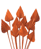 Feuilles de palmier Lance Feuilles de palmier naturelles Lance de palmier Fête des mères Saint Valentin Noël Merci Cadeaux pour chaque fois