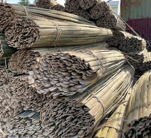 Bambú en Rama para Exportación a Granel, Ideal para la Producción de Muebles y Fabricación Decorativa - Product Image 6