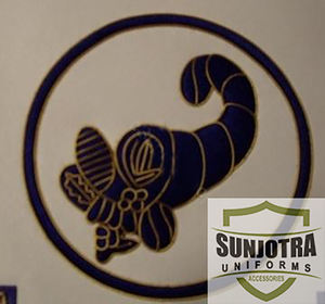 Calidad piel de cordero cuero Real 2025 pasado grandes oficiales desnudarse delantales con círculo bordado maestro bordado delantal masónico - Product Image 4