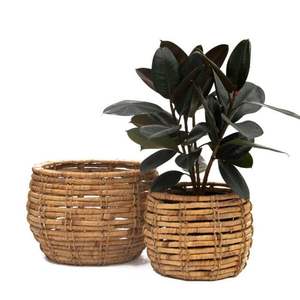 Maceta de Jacinto de Agua para Plantas de Interior y Exterior, Decoración Ecológica para Hogar, Jardín, Balcón y Oficina - Product Image 5