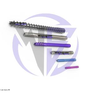 สกรูอัดแบบไม่มีหัว PMPL แบบตรง ขนาด 10/50 มม. ขายดี ได้รับการรับรองมาตรฐาน CE ISO จาก Wenquar Instruments - Product Image 2