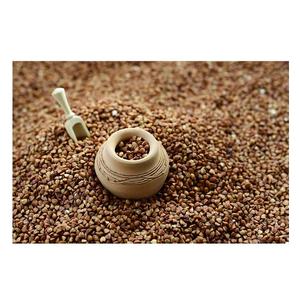 Graines de sarrasin biologiques de qualité supérieure / Grains de sarrasin / Grains en vrac en stock à prix de gros bon marché - Product Image 5