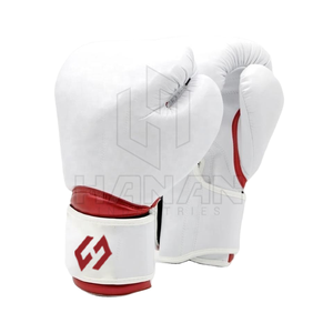 Gants de boxe abordables pour débutants et entraîneurs-Léger et confortable-Options OEM - Product Image 4