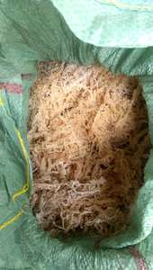 Vietnam Eucheuma Cottonii Seaweed Affordable Supply For Food And Beverage Industry - Product Image 2