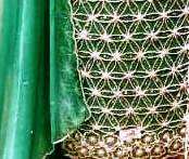 Diseñador moderno sin coser bordado a mano Premium indio pakistaní trajes para mujeres hermosa moda-adelante estilo tradicional - Product Image 3