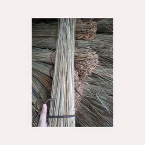 Bâtons de balai de noix de coco du Vietnam naturels et durables pour nettoyer et balayer les feuilles - Product Image 5