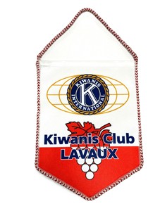 <span class=keywords><strong>String</strong></span> Gevlochten Hoge Kwaliteit Speciaal Design Wimpelpresentatie-Cadeau-Voetbal-Presentatie-Omzoomde Vlag Wereldwijd Verzending - Product Image 4