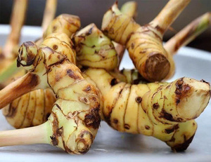CALIDAD PREMIUM DE EXPORTACIÓN GALANGAL CONGELADO SUMINISTRO A GRANEL NATURAL ORGÁNICO OFERTA CALIENTE INGREDIENTE AL POR MAYOR SUMINISTRO TOP VENTAS - Product Image 3