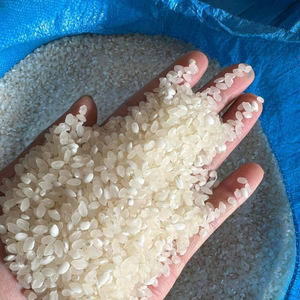 VENTES EN GROS VIETNAM RIZ GLUTINEUX RIZ COLLANT NATUREL COÛT CONCURRENTIEL - Product Image 3