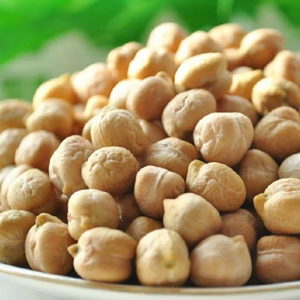High <b>Protein</b> Organic Fresh White Chickpeas / Kabuli Chana - Product Image 1