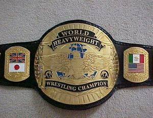 Wrestling Championship Belts Trophées Médailles et récompenses le symbole ultime de la victoire et de l'excellence Ceintures de championnat - Product Image 1