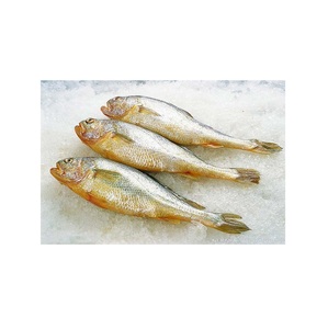 Pescado Croaker Amarillo Congelado (500-800) 2.5kg - Product Image 1