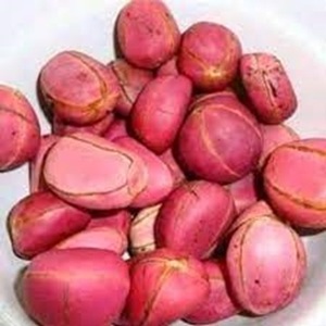 Garcinia kola sain Noix de cajou crues et séchées Noix de kola amère - Product Image 6