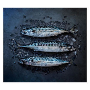 Caballete Español de Alta Calidad Grado A 25kg Congelado Bajo en Azúcar y Carbohidratos para Suministro Comercial de Volumen Constante - Product Image 1