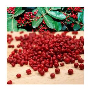 Pimientos rosas secos para exportación a los mejores precios al por mayor - Product Image 6