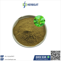 Meilleur extrait naturel de feuilles de Gymnema Sylvestre, poudre de première qualité, emballée sous vide dans un récipient en verre ou en bouteille