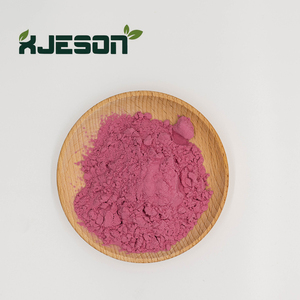 ผงสารสกัดจากเชอร์รี่อะเซโรลาธรรมชาติ อัตราส่วน 20:1 ผงผลไม้เชอร์รี่รสเปรี้ยว ออร์แกนิค ผงเชอร์รี่อบแห้งแบบแช่เยือกแข็ง อัตราส่วน 10:1 - Product Image 2