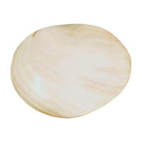 Plateau décoratif nautique côtier en demi-coquille de palourde naturelle de qualité supérieure, 5x5 pouces, en nacre, le plus vendu
