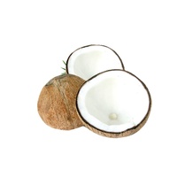 Coco fresco rico en proteínas Volumen 250 a 300 ml por pieza Cocos jóvenes frescos Forma de diamante Forma pulida