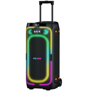 Enceinte de karaoké professionnelle 2x8 pouces 150W avec amplificateur, chariot de fête portable à grandes roues, enceinte DJ Bluetooth avec micro sans fil - Product Image 1