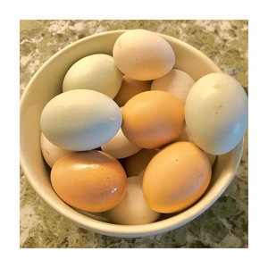 ไข่ไก่สดใหม่ คุณภาพดีที่สุด ผลิตตามสั่ง ขายส่ง ไข่ขาวสดใหม่ - Product Image 5