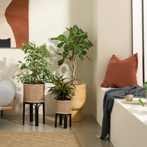 Support de plante d'intérieur en rotin naturel fait à la main Style Boho petite table de plantes Pots de plantes d'intérieur - Product Image 2
