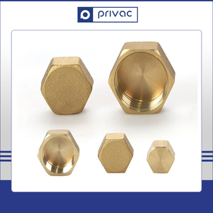 Giá tốt nhất nữ chủ đề ống <span class=keywords><strong>End</strong></span> Cap Brass Hex Head <span class=keywords><strong>End</strong></span> dừng phù hợp cho Air gas đường ống nước - Product Image 6