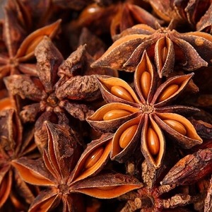 Anís Estrellado Fresco, Crudo y Seco de Vietnam con Alta Calidad y Precio Competitivo - Product Image 3